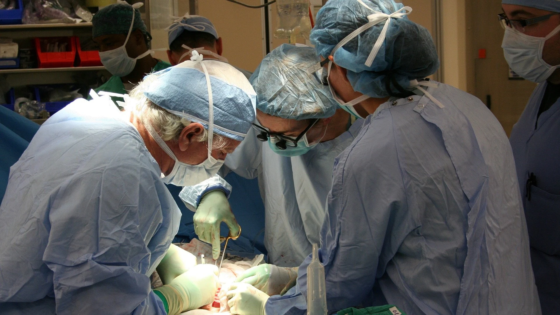 El Hospital Gregorio Marañón crea un tratamiento pionero que podría evitar el rechazo de trasplante de órganos El Hospital Gregorio Marañón crea un tratamiento pionero que podría evitar el rechazo de trasplante de órganos