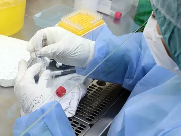 Investigación contra el cáncer Investigación contra el cáncer