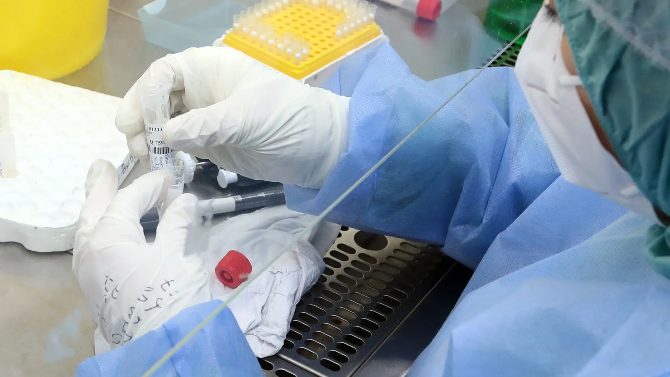 Investigación contra el cáncer Investigación contra el cáncer