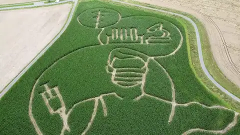 Un granjero alemán crea un laberinto que muestra a una persona vacunándose contra la COVID-19 Un granjero alemán crea un laberinto que muestra a una persona vacunándose contra la COVID-19