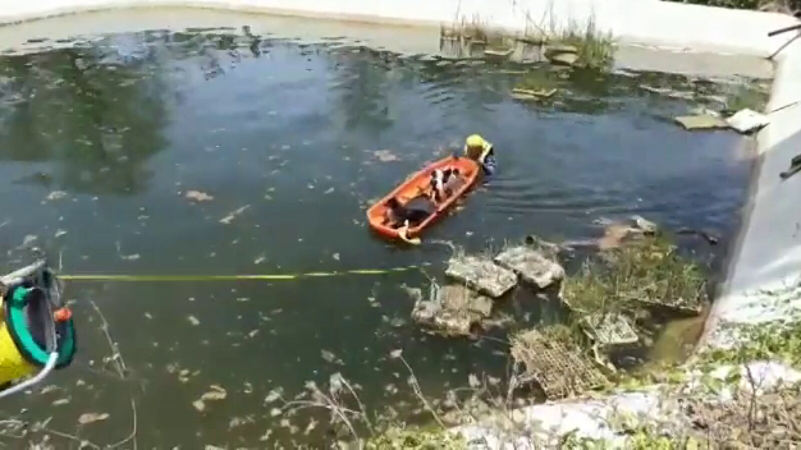Los bomberos rescatan a 3 perros que se lanzaron a un estanque en Gran Canaria para refrescarse