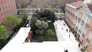 El Congreso da el visto bueno para que la colección de Carmen Thyssen permanezca en España durante 15 años El Congreso da el visto bueno para que la colección de Carmen Thyssen permanezca en España durante 15 años