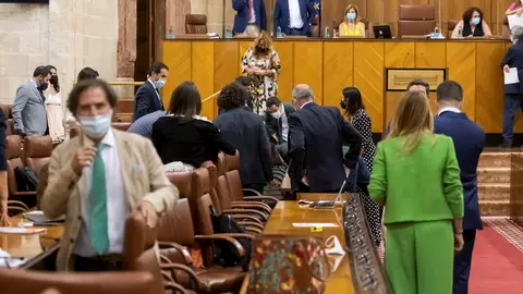 El presidente andaluz, Juanma Moreno (centro al fondo) y varios diputados buscando una rata que ha irrumpido este miércoles en el salón de plenos del Parlamento andaluz durante el inicio del pleno, lo que ha causado un gran revuelo entre los diputados y ha obligado a parar la sesión hasta que han conseguido echarla. El presidente andaluz, Juanma Moreno (centro al fondo) y varios diputados buscando una rata que ha irrumpido este miércoles en el salón de plenos del Parlamento andaluz durante el inicio del pleno, lo que ha causado un gran revuelo entre los diputados y ha obligado a parar la sesión hasta que han conseguido echarla.