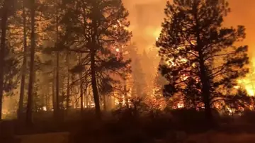 Los responsables del incendio de Horta de Sant Joan aceptan una condena de 8 años de cárcel Los responsables del incendio de Horta de Sant Joan aceptan una condena de 8 años de cárcel