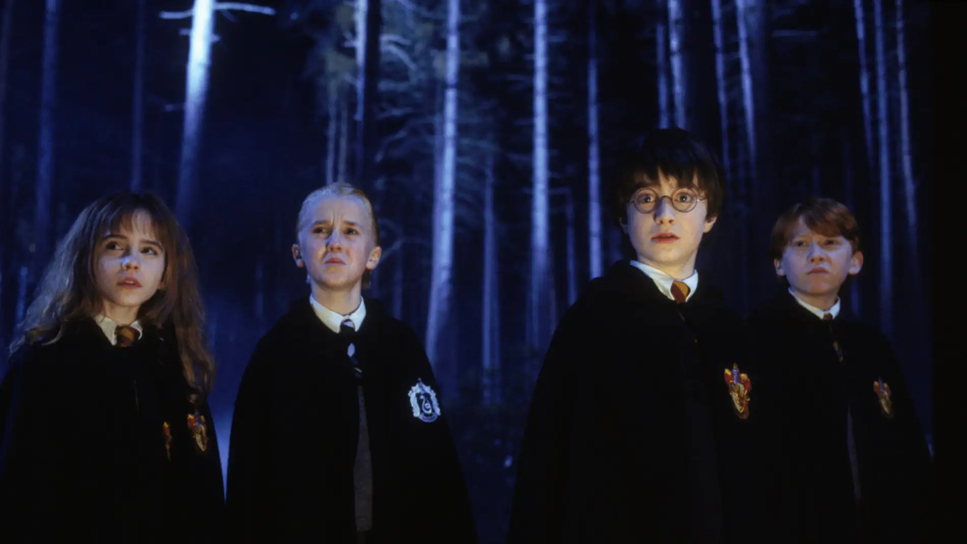 Harry Potter junto a Hermione, Draco y Ron en el Bosque Prohibido