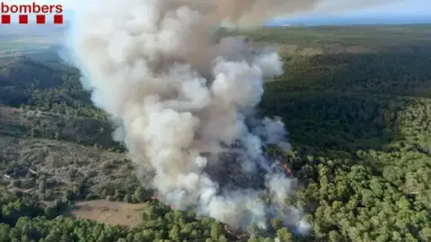 Los bomberos trabajan apagando las llamas provocadas por un incendio en el macizo del Montgrí, en Girona Los bomberos trabajan apagando las llamas provocadas por un incendio en el macizo del Montgrí, en Girona