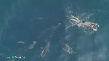nadador nadador