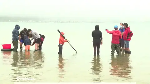 Mariscadoras convertidas en guías turísticas que muestran la dureza de su trabajo en A Pobra de Caramiñal Mariscadoras convertidas en guías turísticas que muestran la dureza de su trabajo en A Pobra de Caramiñal