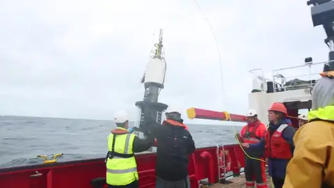 Científica española Científica española