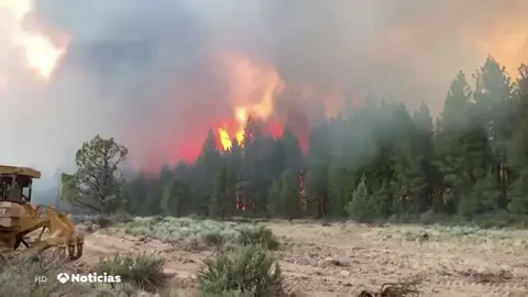 Empeora el incendio de Alcaracejos, en Córdoba, que ya ha arrasado más de 370 hectáreas Empeora el incendio de Alcaracejos, en Córdoba, que ya ha arrasado más de 370 hectáreas