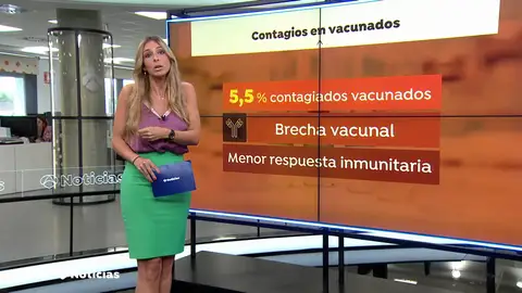 ¿Qué es la brecha vacunal y cuándo surge? ¿Qué es la brecha vacunal y cuándo surge?