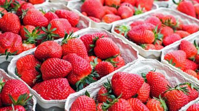 Conservar las fresas en buen estado más días en la nevera es posible 