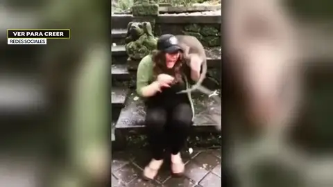 Atacada por un mono en Bali. Atacada por un mono en Bali.