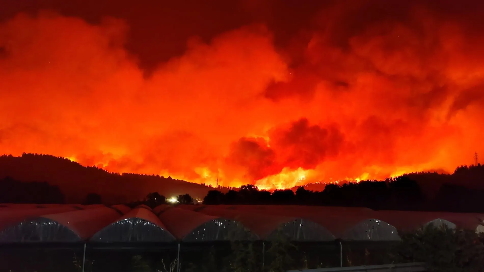 Más de 600 personas evacuadas en barco de la isla griega de Evia por el avance imparable de las llamas