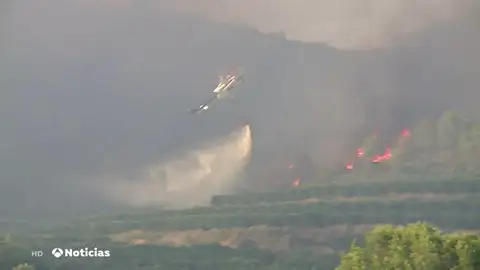 Declarado un incendio forestal que ha obligado a desalojar dos urbanizaciones en Rafelguaraf, Valencia Declarado un incendio forestal que ha obligado a desalojar dos urbanizaciones en Rafelguaraf, Valencia