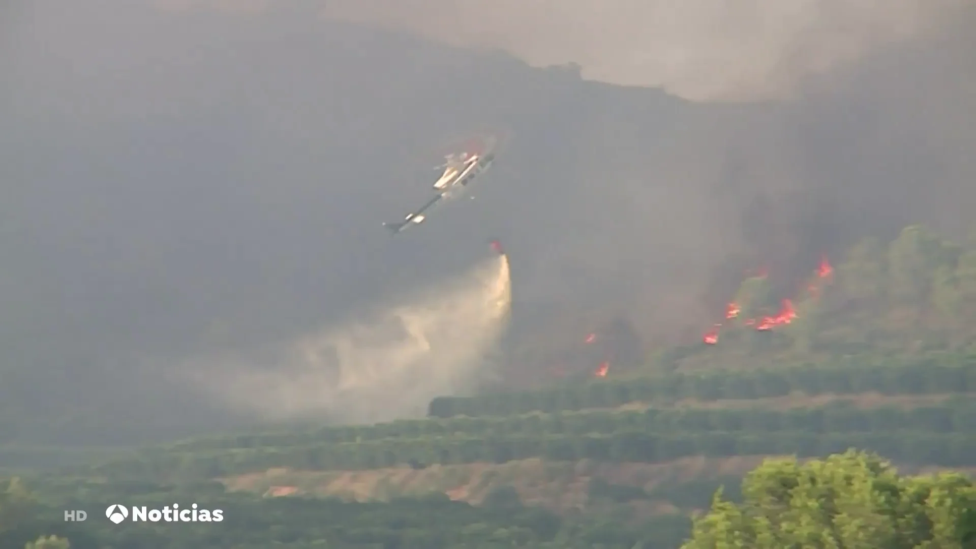 Declarado un incendio forestal que ha obligado a desalojar dos urbanizaciones en Rafelguaraf, Valencia Declarado un incendio forestal que ha obligado a desalojar dos urbanizaciones en Rafelguaraf, Valencia