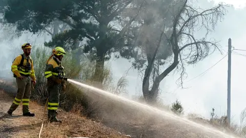 A3 Noticias Fin de Semana (07-08-21) La Junta de Castilla y León mantiene en nivel 2 el fuego de El Tiemblo con varios puntos calientes A3 Noticias Fin de Semana (07-08-21) La Junta de Castilla y León mantiene en nivel 2 el fuego de El Tiemblo con varios puntos calientes