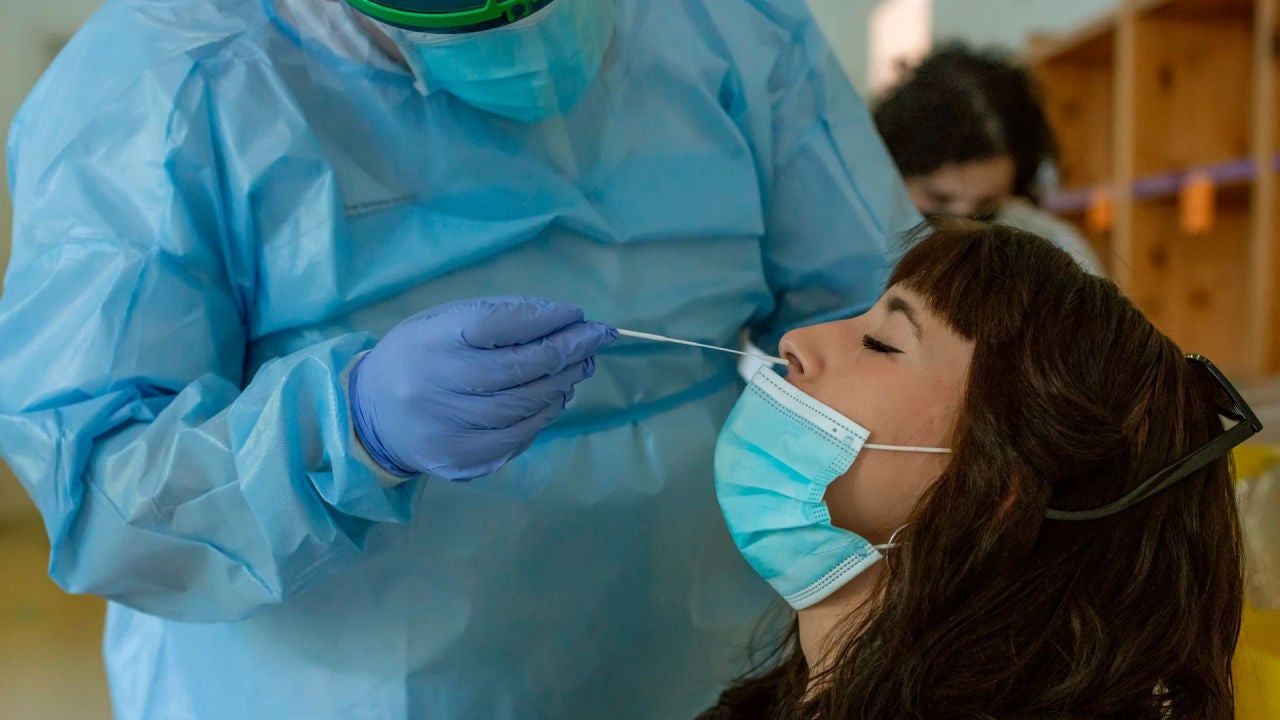 Así se analizan las pruebas PCR en un laboratorio para comprobar el