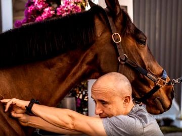 Lorenzo del Río, fisio de dos caballos que han estado en Tokio: "También son atletas"