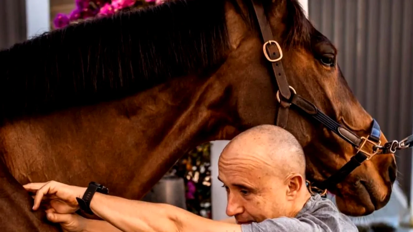 Lorenzo del Río, fisio de dos caballos que han estado en Tokio: "También son atletas" Lorenzo del Río, fisio de dos caballos que han estado en Tokio: "También son atletas"