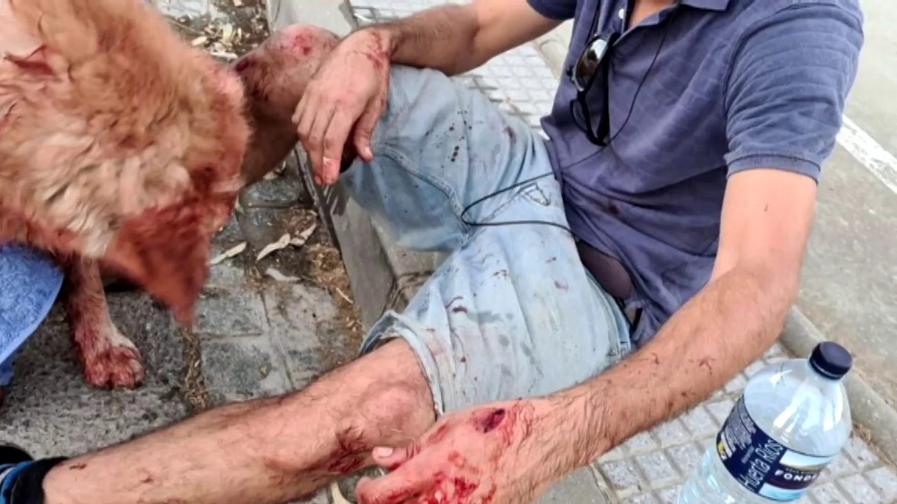 Unos perros agreden a otro perro y su due&ntilde;o mientras paseaban en Rota
