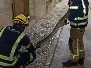 Bomberos de la Diputación de Alicante sostienen a una serpiente encontrada en Benissa