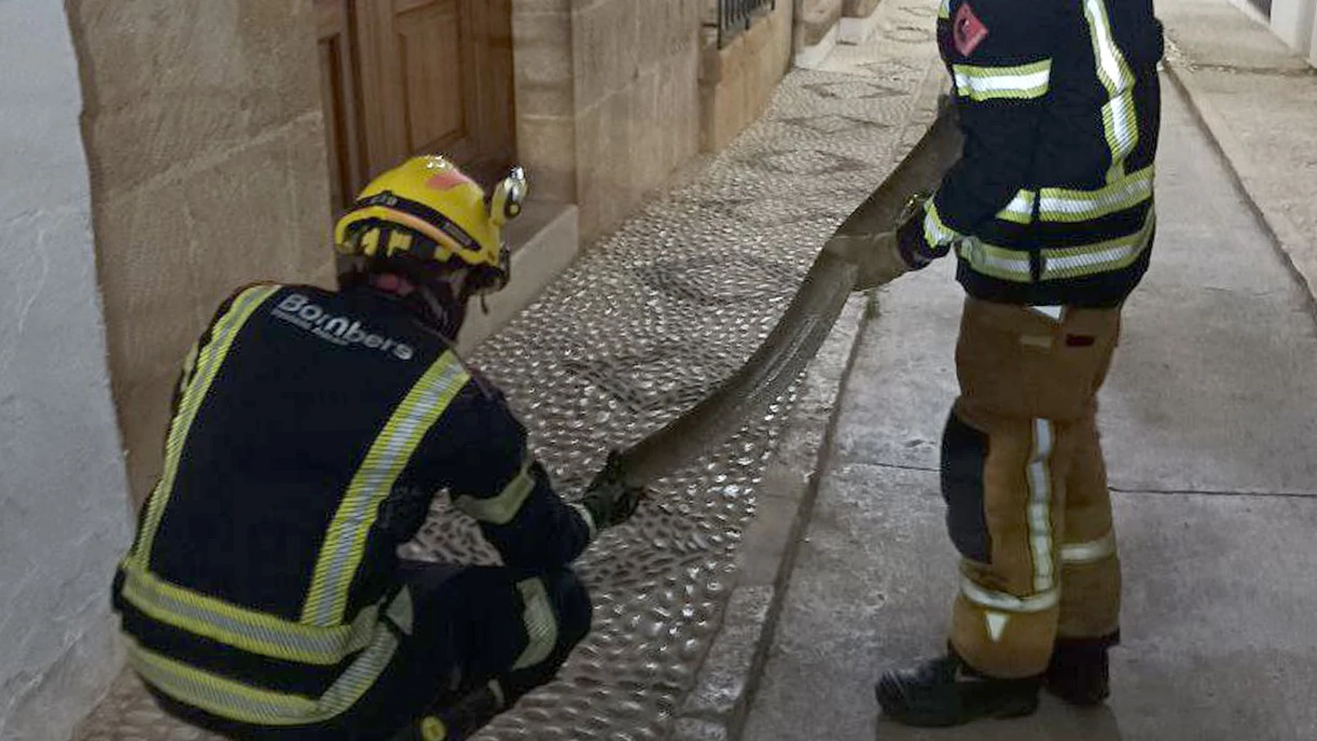 Bomberos de la Diputación de Alicante sostienen a una serpiente encontrada en Benissa
