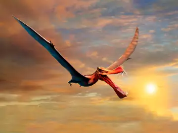 Dinosaurio volador Dinosaurio volador