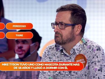 ¡Lo han bordado! Marco Antonio y Cristina Lasvignes sobresalen en el ‘Una de Cuatro’