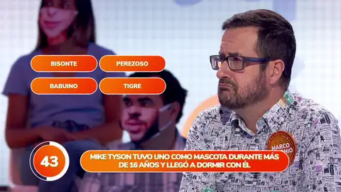 ¡Lo han bordado! Marco Antonio y Cristina Lasvignes sobresalen en el ‘Una de Cuatro’ ¡Lo han bordado! Marco Antonio y Cristina Lasvignes sobresalen en el ‘Una de Cuatro’