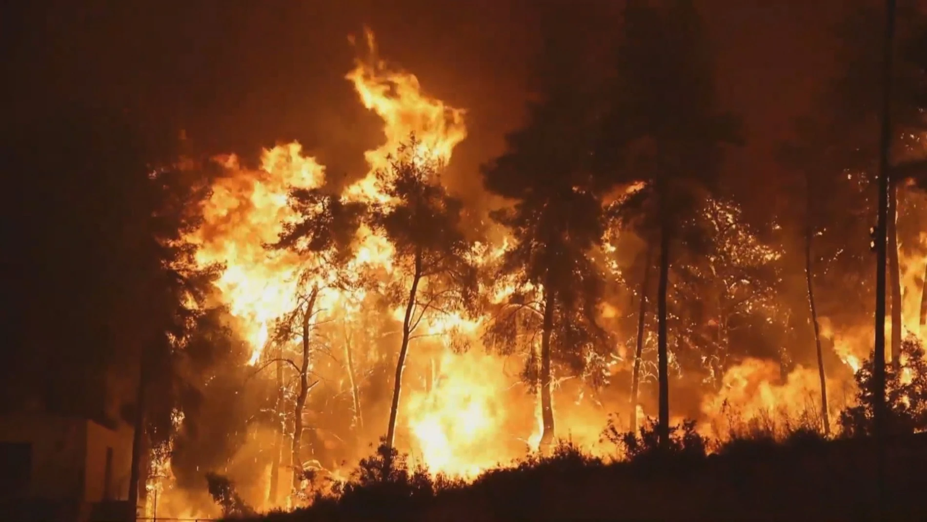 Los incendios forestales arrasan gran parte del planeta