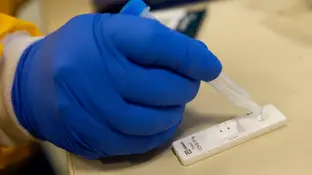 Bulo test de antígenos Bulo test de antígenos