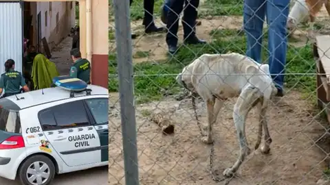 El detenido como principal sospechoso de la desaparición de Javier fue denunciado por maltratar a 29 perros El detenido como principal sospechoso de la desaparición de Javier fue denunciado por maltratar a 29 perros