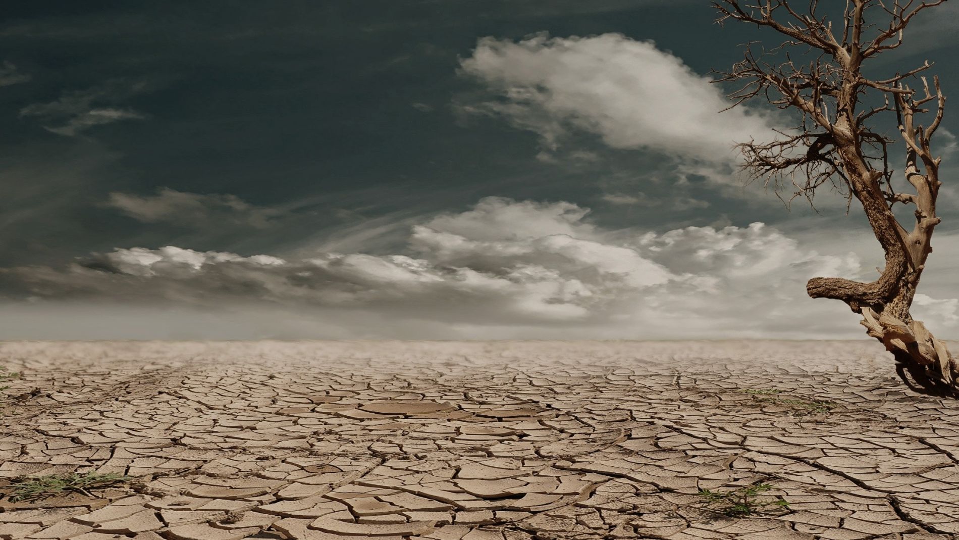 Comprueba en nuestro test cuánto sabes del cambio climático ¡Participa!