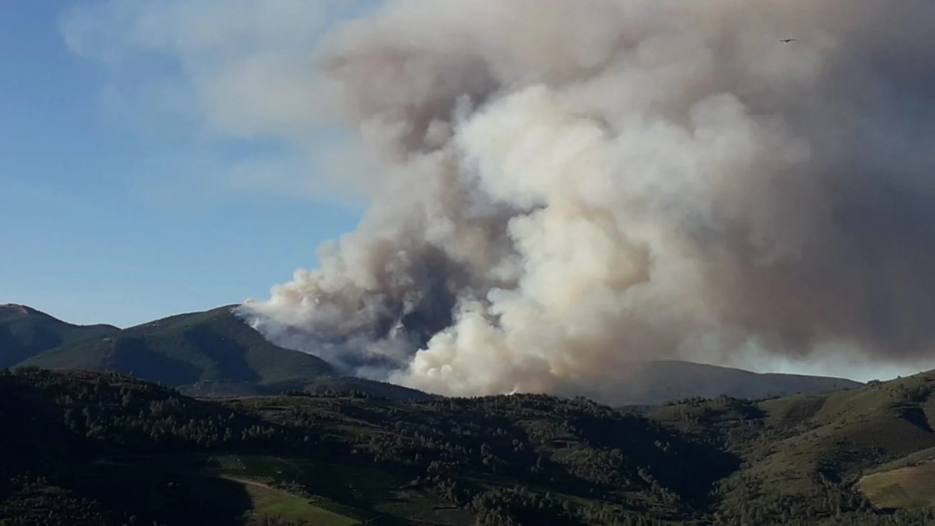 Un incendio forestal en Rubiá, Ourense, calcina al menos 90 hectáreas
