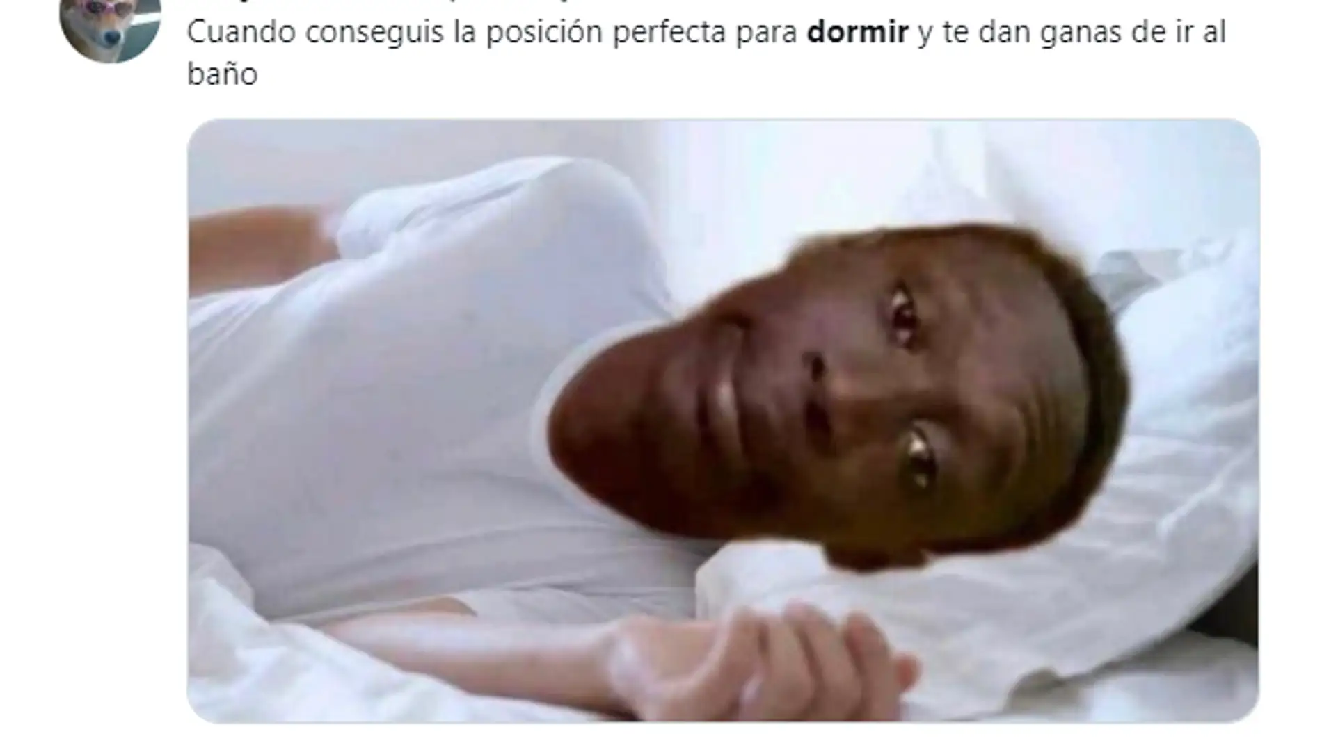 Las 33 mejores reflexiones y tuits de humor sobre dormir