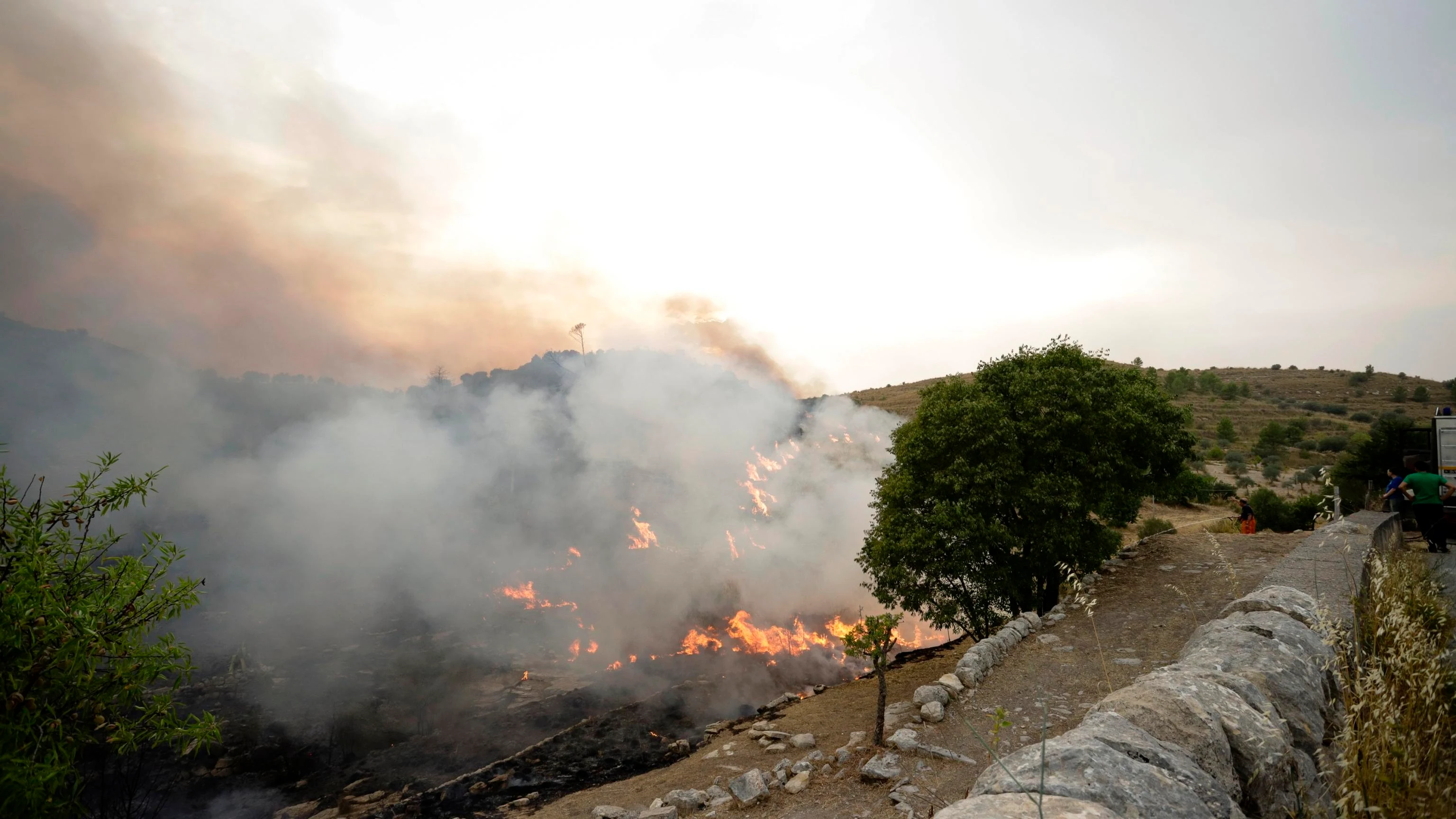 Incendio Argelia