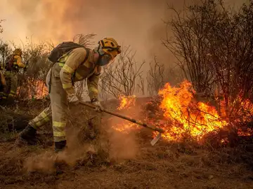 Estabilizado el incendio en Galicia Estabilizado el incendio en Galicia