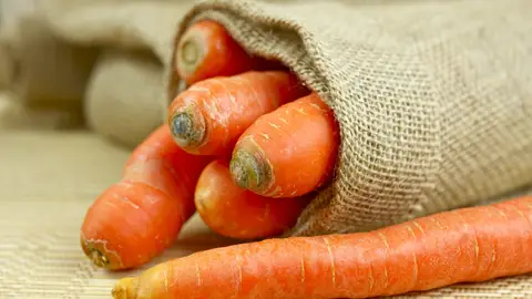 Zanahorias Zanahorias