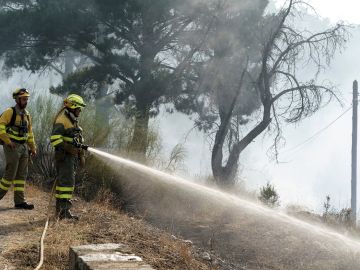 Dos bomberos intentan apagar un fuego en el municipio abulense de El Tiemblo