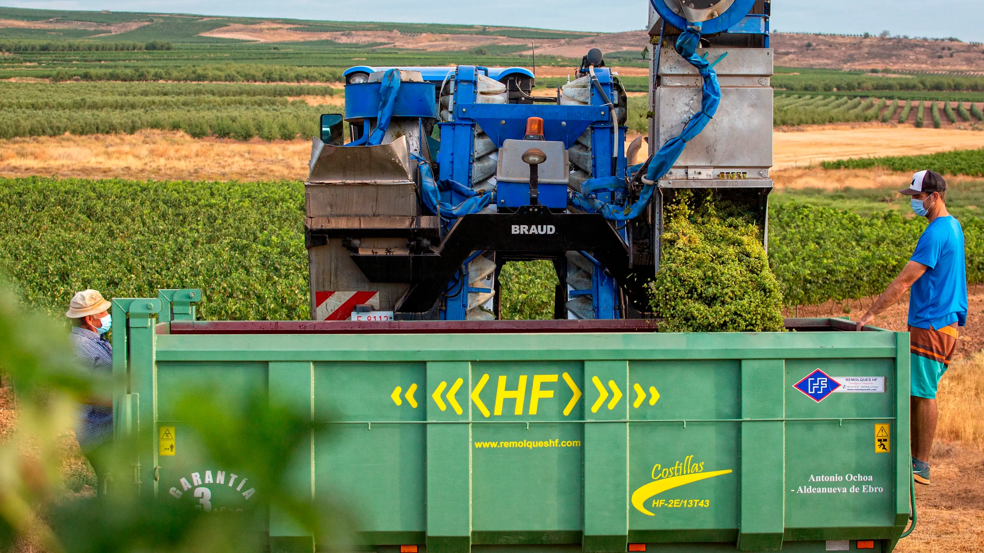 Recolectores en el campo
