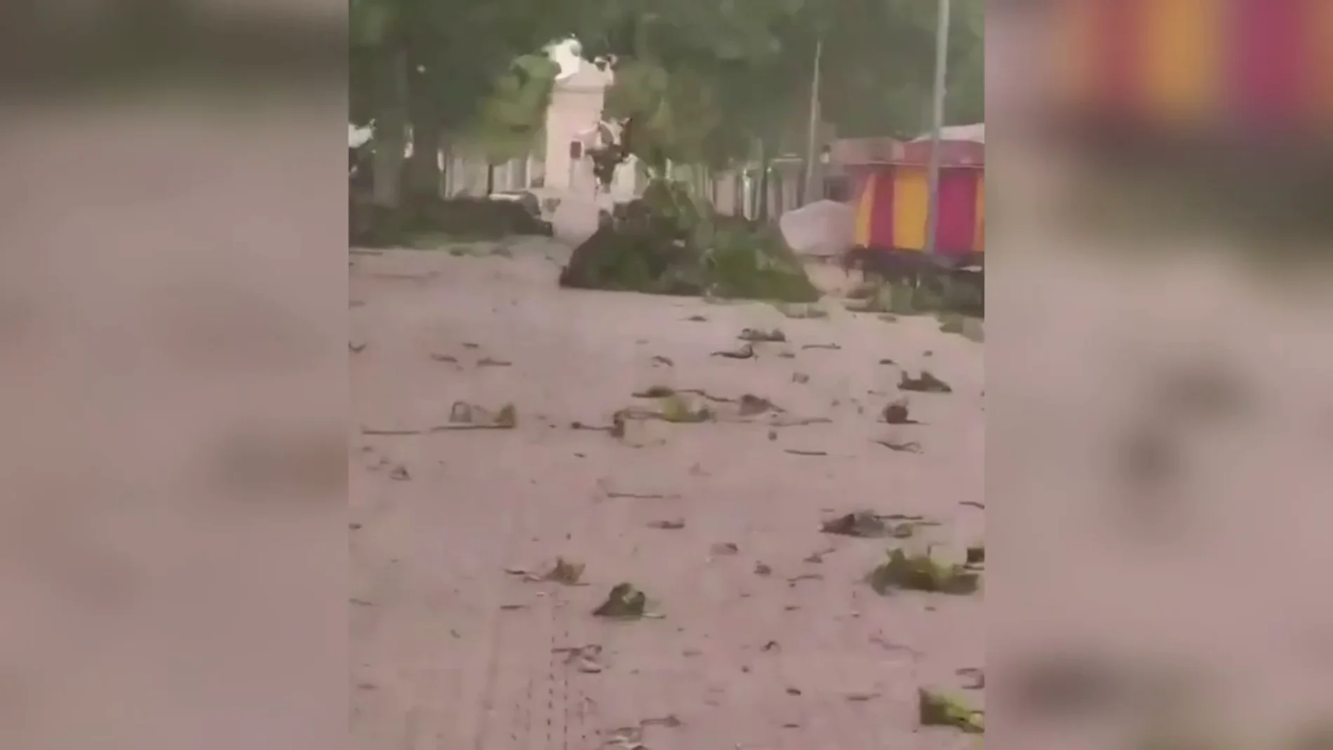 Fuertes rachas de viento huracanado en una tormenta de arena en Albacete