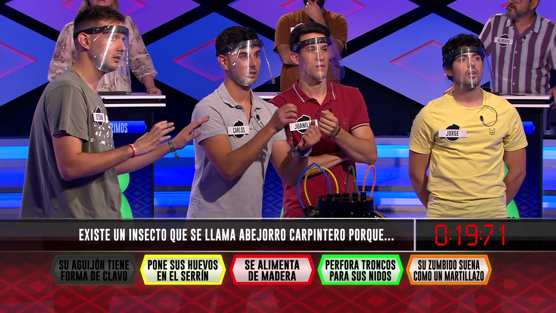 Descubre en ‘¡Boom!’ por qué se llama así al abejorro carpintero Mejores momentos | 16 de agosto