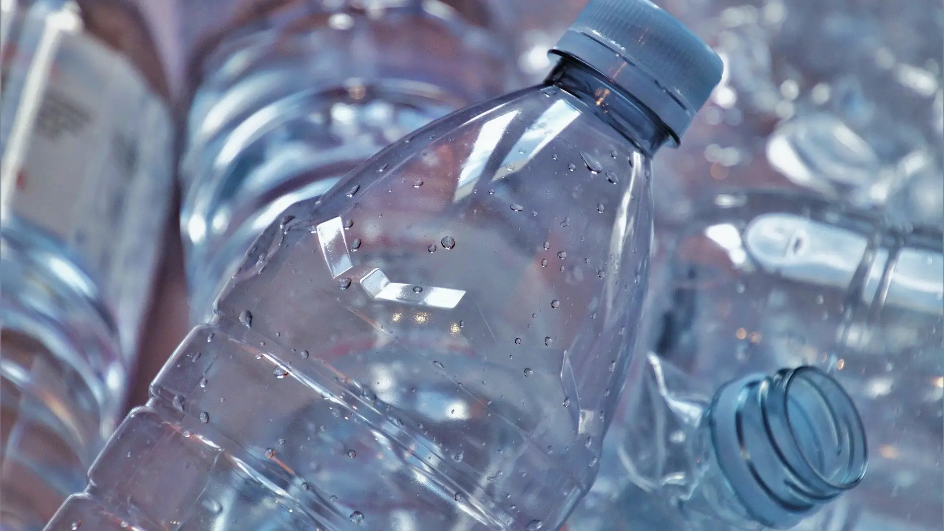 Reciclaje de botellas de plástico