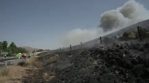 Luís del Bosque, concejal de Sotalbo (Ávila), sobre los incendios: "Se ha quemado absolutamente todo, nos han dejado a su suerte" Luís del Bosque, concejal de Sotalbo (Ávila), sobre los incendios: "Se ha quemado absolutamente todo, nos han dejado a su suerte"