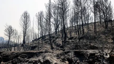 Superficie quemada en el incendio de Azuébar, en Castellón Superficie quemada en el incendio de Azuébar, en Castellón