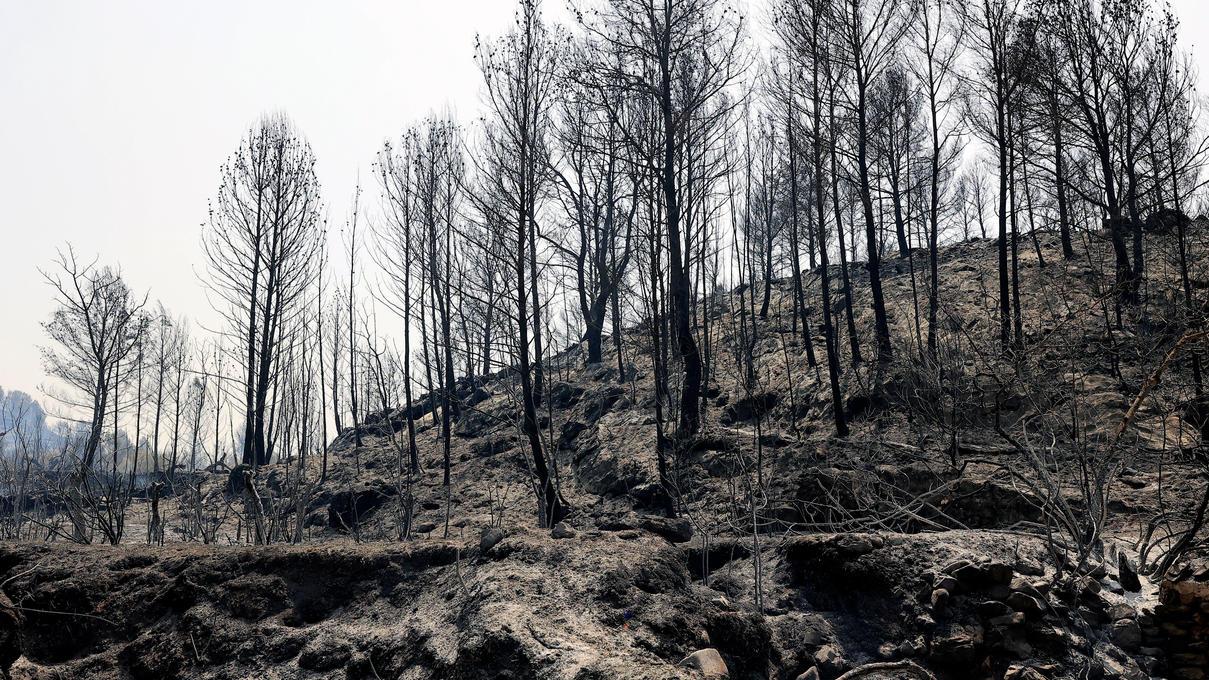 Superficie quemada en el incendio de Azuébar, en Castellón Superficie quemada en el incendio de Azuébar, en Castellón