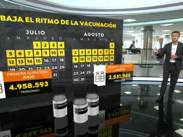 Baja el ritmo de vacunación Baja el ritmo de vacunación