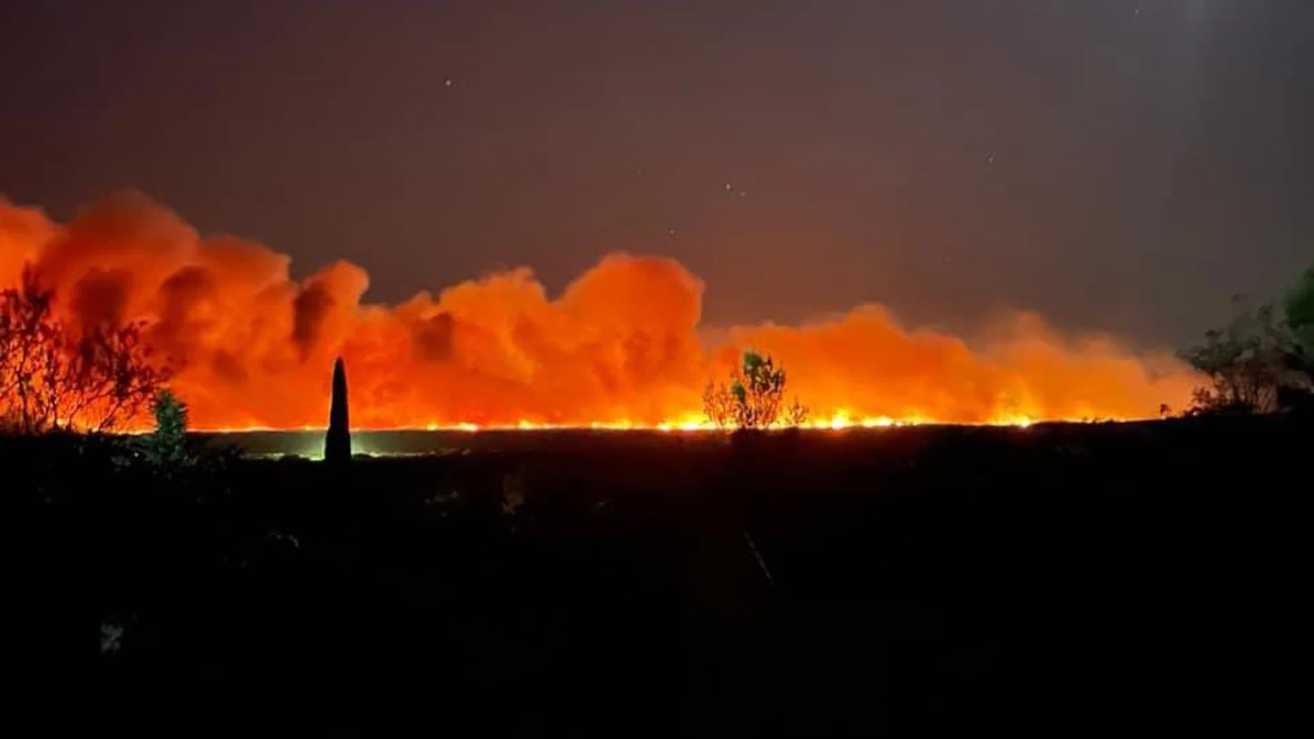 Evacuadas miles de personas por un incendio forestal al sur de Francia