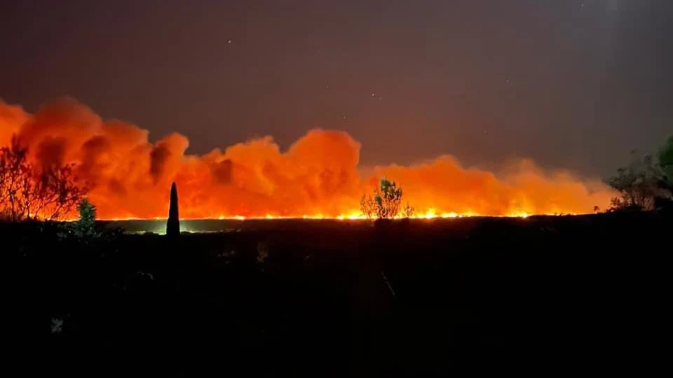 Evacuadas miles de personas por un incendio forestal al sur de Francia Evacuadas miles de personas por un incendio forestal al sur de Francia